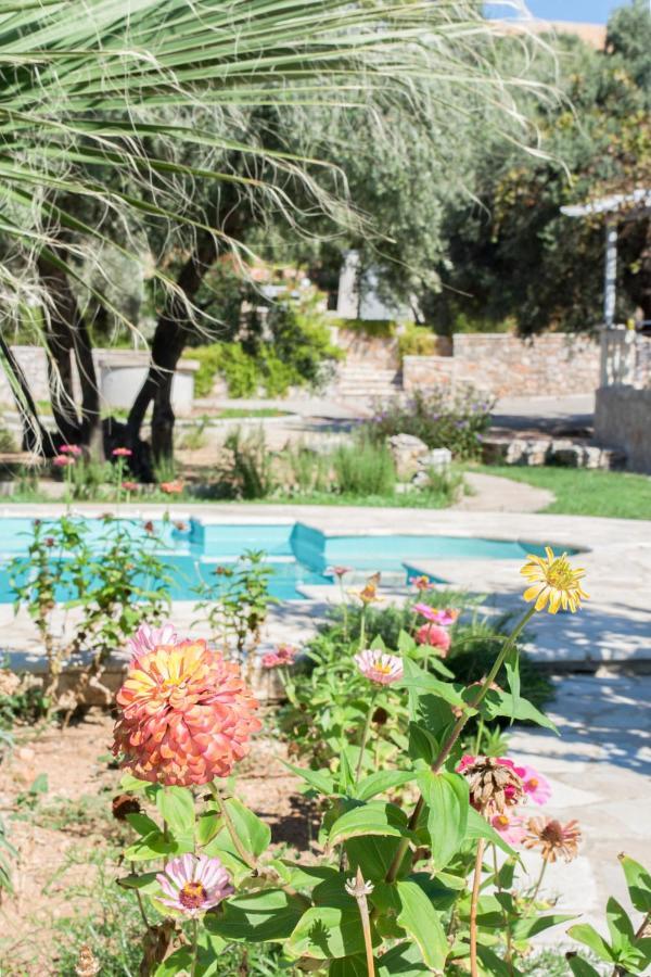 Doroufi Apartament