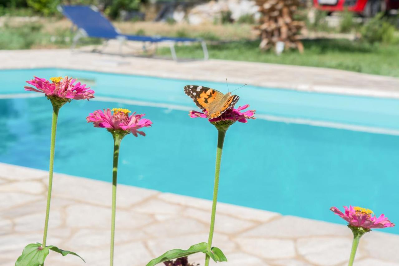 Apartament Doroufi